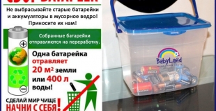 Прокат детских товаров в Череповце более двух лет собирает батарейки на утилизацию