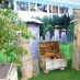 Музей  Пчеловодства