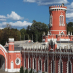 Путевой дворец Петра и загул по-купечески в Петровском парке