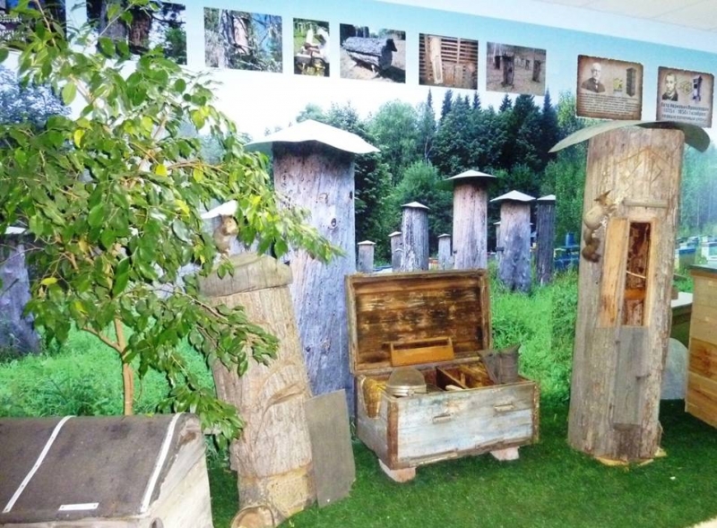 Музей пчелы и пчеловодства